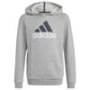 ADIDAS Kid's BL 2 Hoodie - Hoodie 1 ADIDAS Kid's BL 2 Hoodie - Hoodie -Armedange Kleidung Geschaft adidas kids bl 2 hoodie hoodie